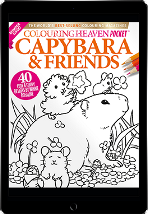 Colouring Heaven Pocket Single Issues - Digital Downloads